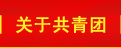 2024年澳门原料免费网大全